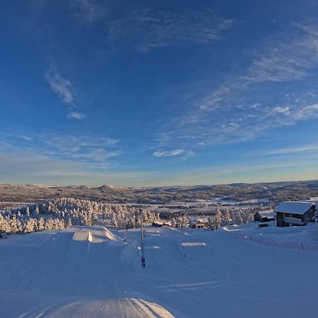 Toppvillan - Ski In - Ski Out - 200 M Till Toppen Och Cykelleder Jarvso Exterior photo